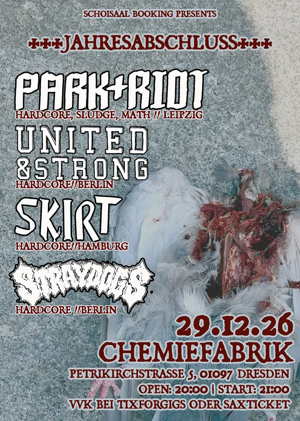 Flyer für JAHRESABSCHLUSS: PARK+RIOT, UNITED&STRONG, STRAY DOGS, SKIRT